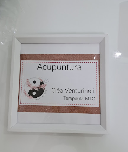 Acupuntura São Caetano do Sul - Cléa Venturineli - Acupunturista