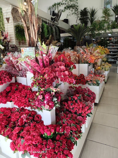 Ana Sofia Flores - Floricultura