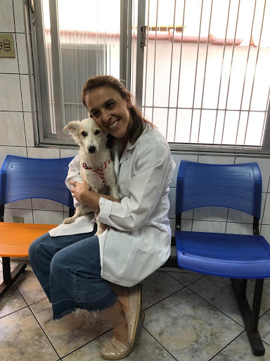 Clínica Veterinária São Caetano - Veterinário
