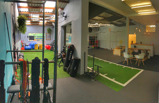 DX Performance Studio - Academia