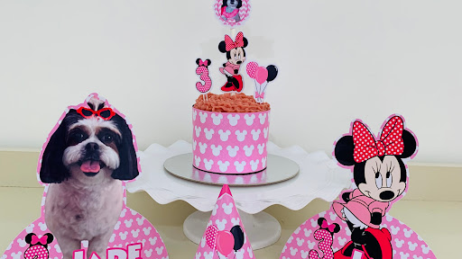 Divino Pet Cake - Loja de bolos