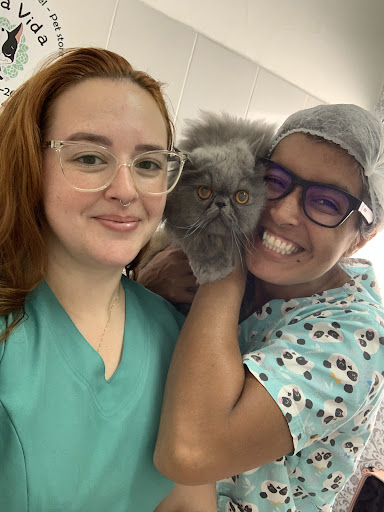 Emporion Animal Humanizado - VetPrime - Veterinário