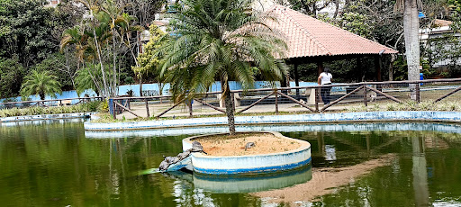 Espaço Pet - Parque canino