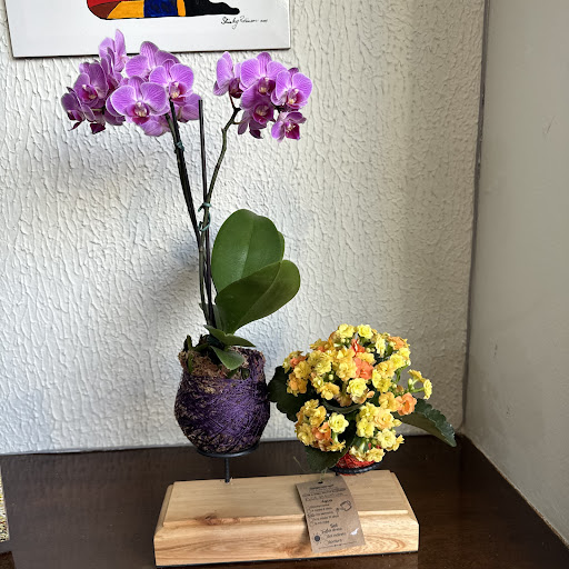 Modo Verde - Floricultura