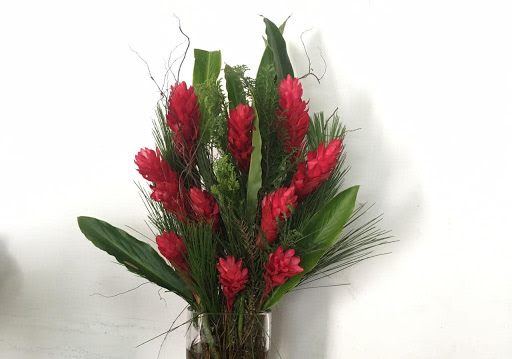 Nina Assinatura Floral - Floricultura