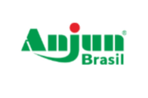 PONTO DE COLETA SHEIN ANJUN SÃO CAETANO DO SUL (BAIRRO SÃO JOSÉ) - Armazém