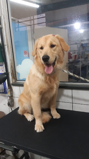 Pesca & Bichos Comercial Ltda - Veterinário