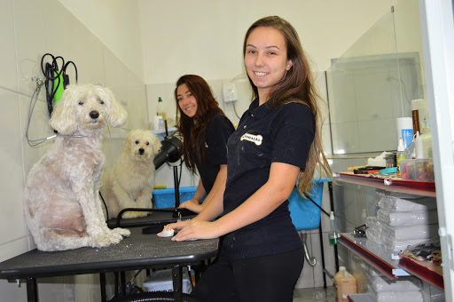 Pet Shop Fundação - Veterinário