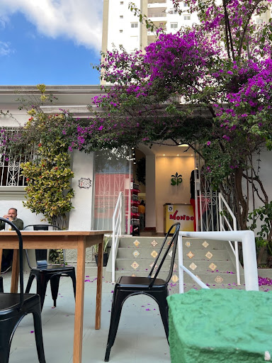 Santa Planta - Mercado e Restaurante Vegano - Restaurante vegano