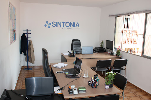 Sintonia Turismo - Agência de viagens