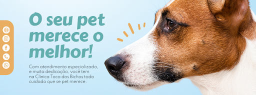 Toca dos Bichos São Caetano do Sul - Veterinário