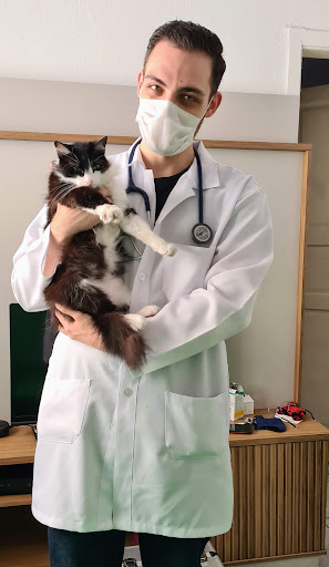 Veterinário à Domicílio em São Caetano do Sul | Luccão Veterinário - Veterinário