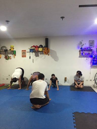 Wolf studio funcional - Sala de fitness